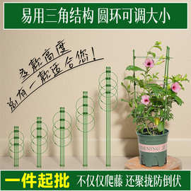 园艺蔷薇月季爬藤架支柱铁线莲牵牛花卉植物花盆固定支架花支架子