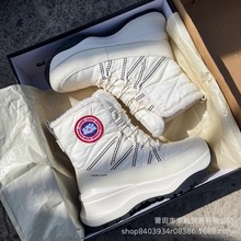 |ѩѥŮˮӽqӺůͲIѩlĮѩЬ