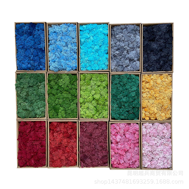 [500 grams of box installation of eternal moss] Eternal moss moss wall wall home decoration DIY material dry flower bag