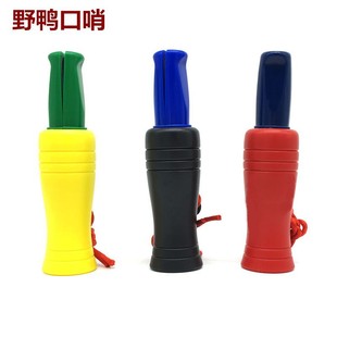 ���R�d�羳 �������C��C�����T������ ���T�D���TҰ�������B��