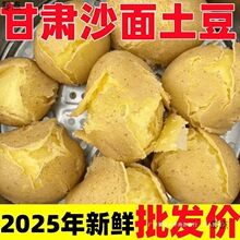 �F��2025�S��������C�R������l�߲�ɳ�����������������r�SƤ