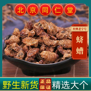 ���uϓ�ϓ�Ұ��ϓ�����Q��ĸ�x�����x�S�x�uĸ�x��؛��؛