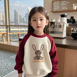 跨境儿童加绒加厚卫衣女童甜美新款秋冬季女孩装圆领春秋上衣爆款