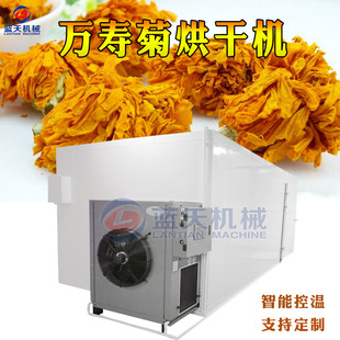 f۾սջúəC ՚ѩոC ȫԄӷCպO