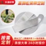 定制弹力撕裂防滑松紧带