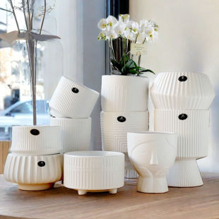 ���ֵ�մɻ��莧�бP��ɫ���s���Wins�L���⻨��W�t�ٴ������