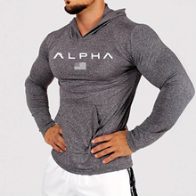 �羳�¿�ALPHA��ʿ�Bñ�\����ӡ����׉��s���½����\�ӚW�a�l��