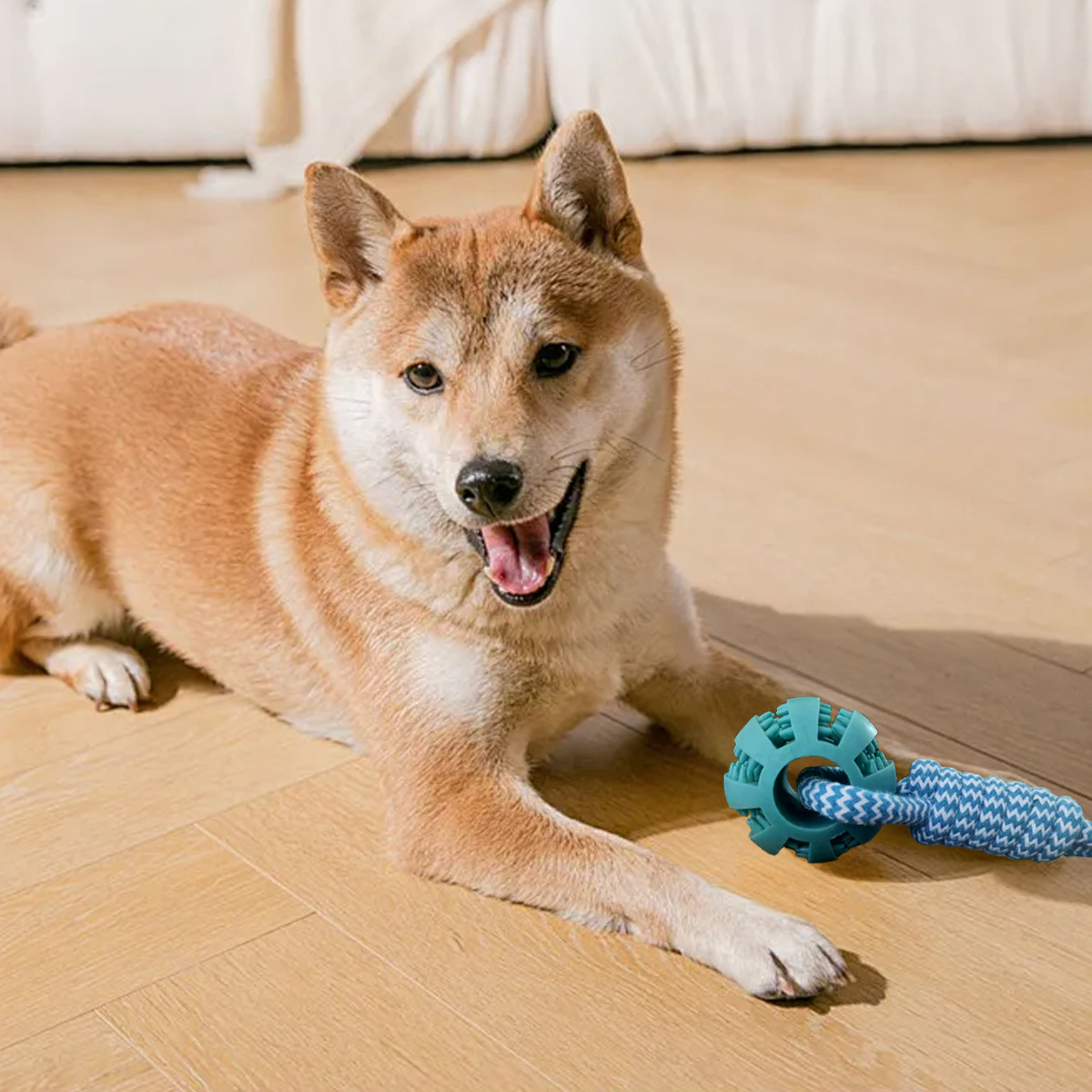 Gioco per cani anguria con corda da tiro e dispenser snack_voghion.com