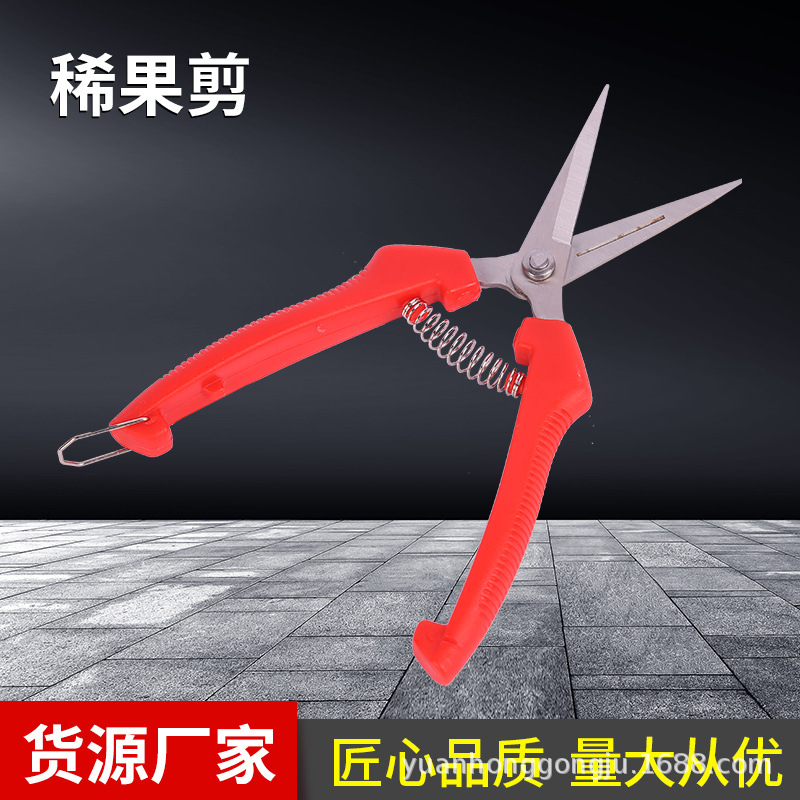 批发采果剪 稀果剪  葡萄采摘剪刀 摘果疏花加长头园艺园林剪