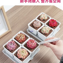 美莳多肉控根花盆四方组合透气塑料花架小白方带底座托盘小号