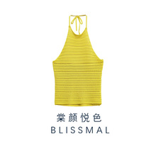 ZARO 自制 欧美风高级感蕾丝网纱分体保守裙式纯欲风性格吊带女装