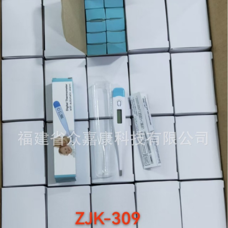 Manufacturer Wholesale Foreign Trade Export English Version Household Hard-Head Electronic Thermometer for Accurate Measurement of Children's and Adults' Body Temperature