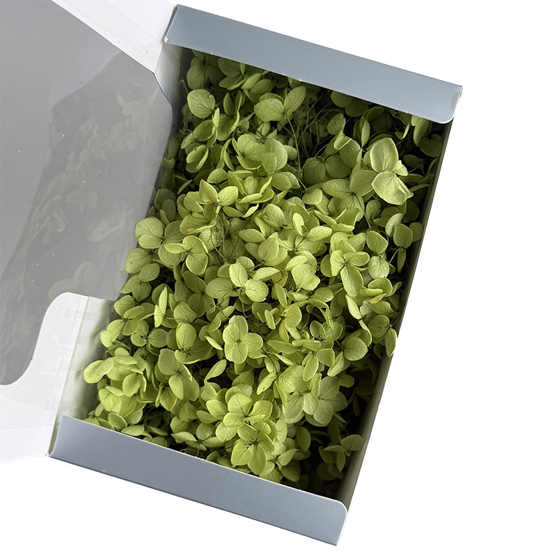 Anna Hortensia flor eterna Rosa Eterna caja de regalo flor seca flor preservada Flor Eterna