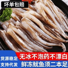 鱿鱼须二本足鱿鱼腿八爪鱼海鲜鲜切冷冻鱿鱼须半成品烧烤食材批发