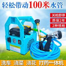 |手提式电动喷雾器农用家用充电果树打药机洗车抽水机双泵消毒喷