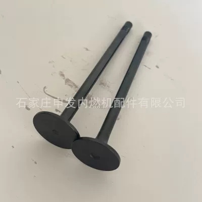 Valves and components (SDEC) MAN 13 intake