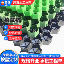 抗压加厚植草格园林绿化护坡景区铺路停车场塑料抗压植草格