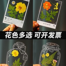 干花书签diy材料透明标本自制滴胶小学生压花植物押花贴水瓶