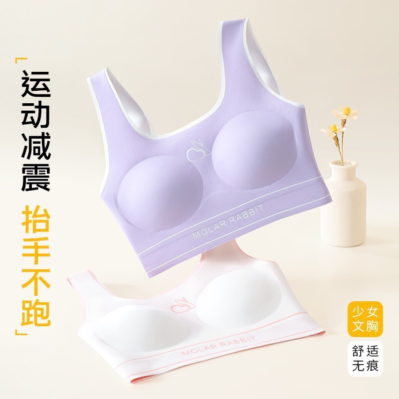Teeth Rabbit 2 ピース 10-18 歳の女の子の発育期プロスポーツ整形子供用下着オールシーズン着用可能綿|undefined