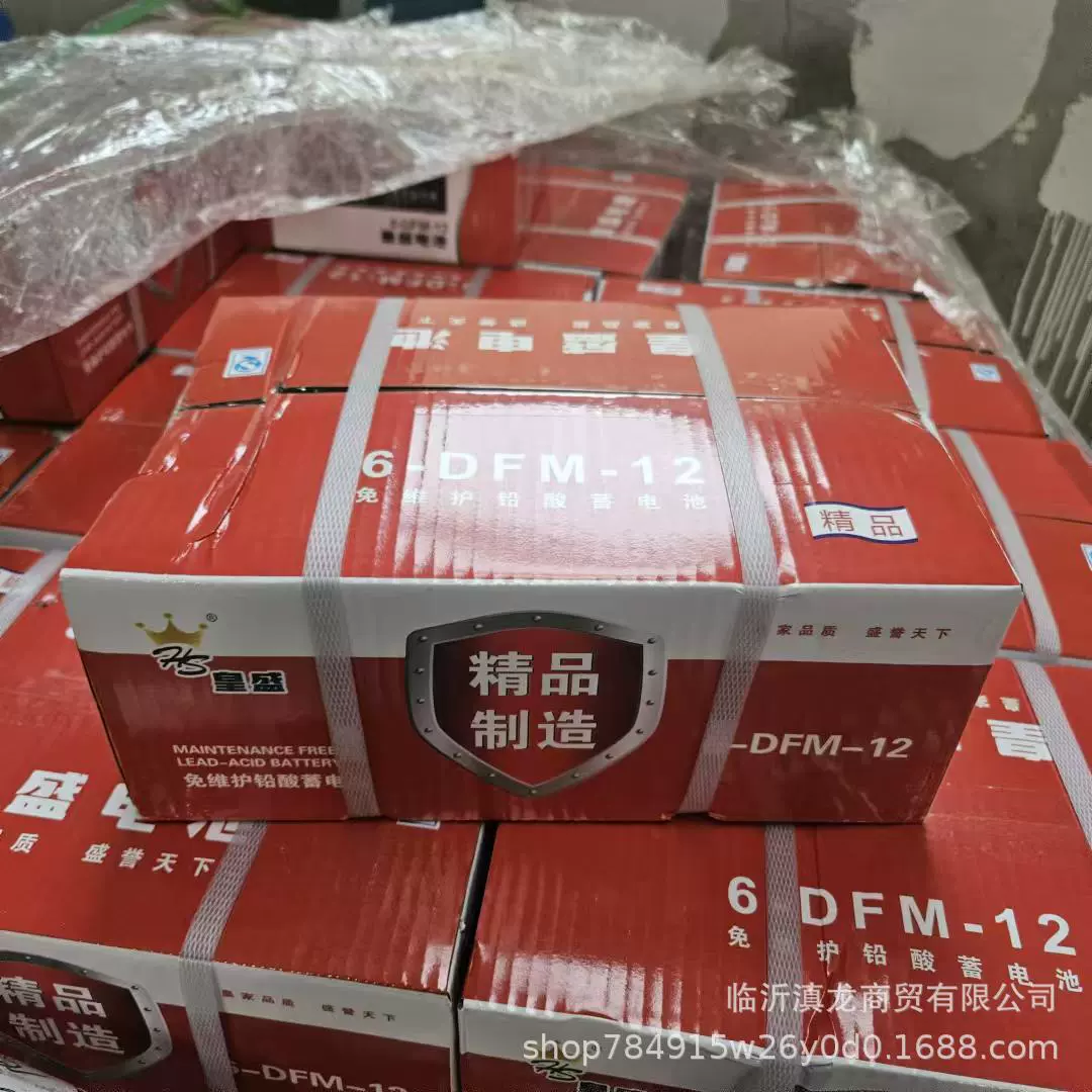 48V电瓶免维护铅酸蓄电池皇盛12安电源东南亚原配外贸车跨境专供