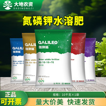 ٤ԴԪˮ⛸ߵƽͷɫ~