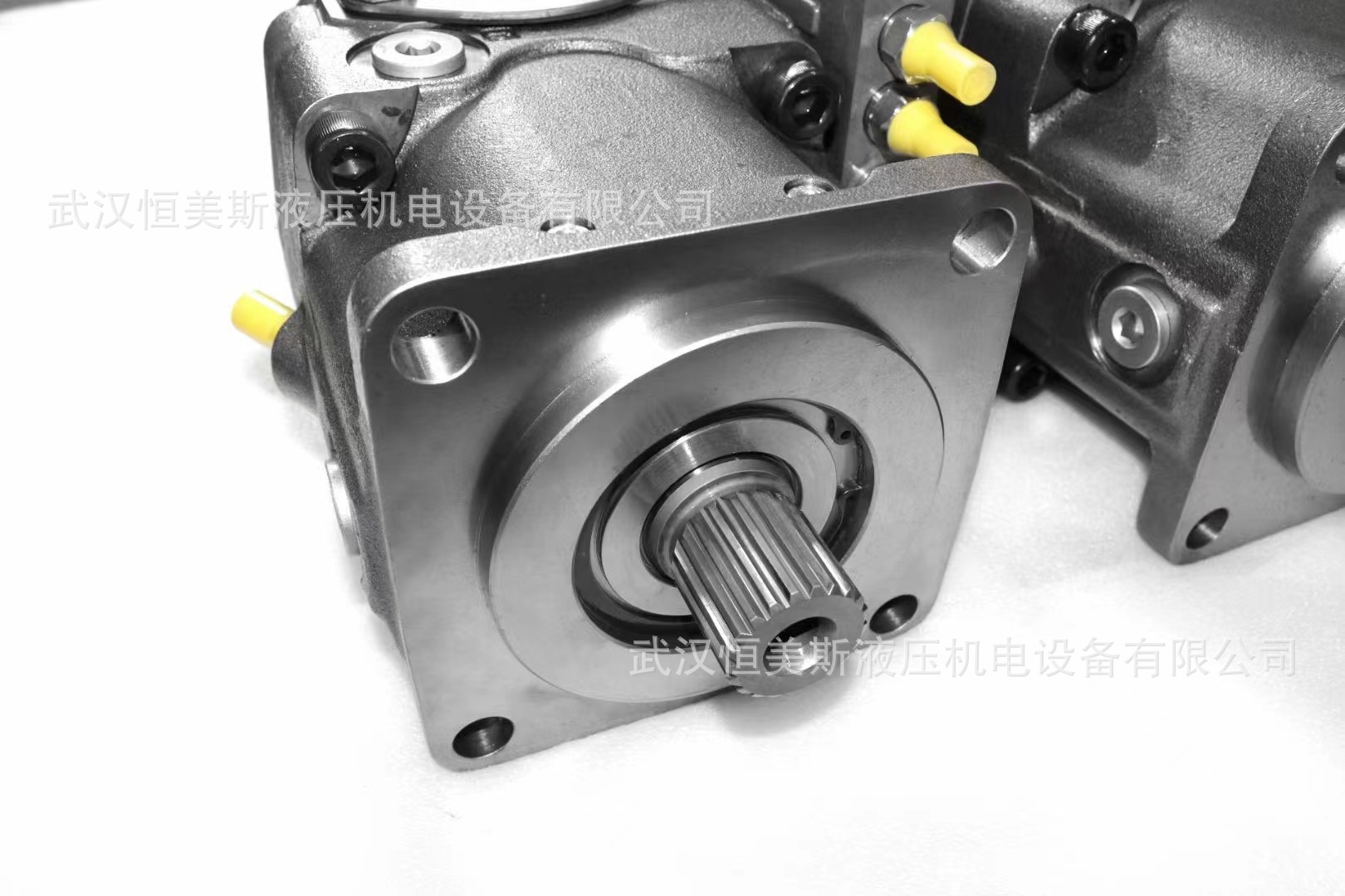 德国REXROTH力士乐柱塞泵A2F80L6.1A5