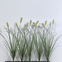 �����JȔ�ݷ��滨�Gֲ�b��仨�ž��^�����쾰������Ұ�L����