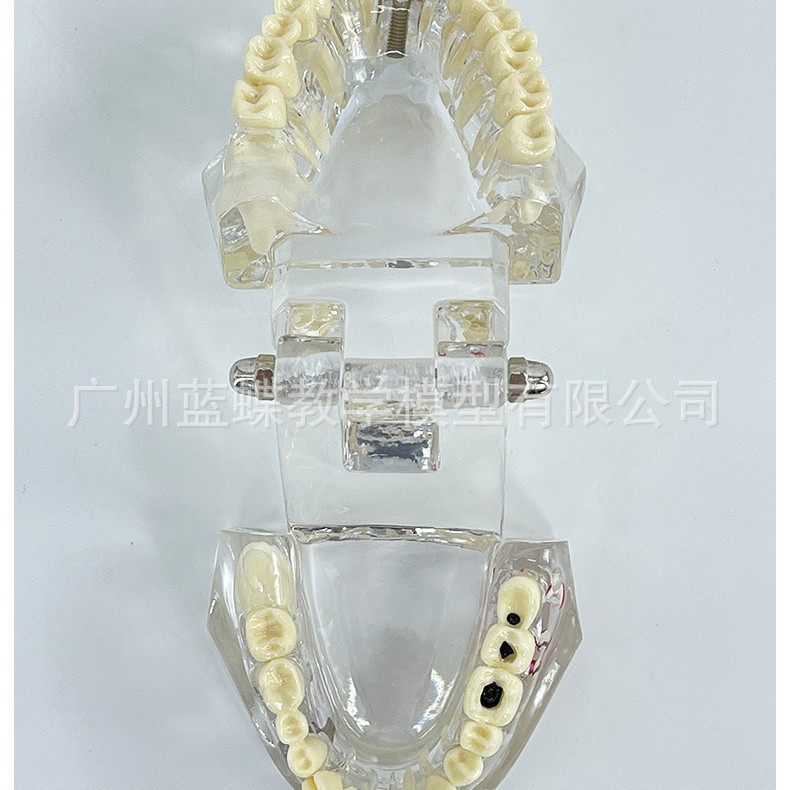 ͸��ȫ�ڲ�����ģ��ҽѧ��ѧ�ۺϲ�������������ǻ��ҽ����ͨģ��