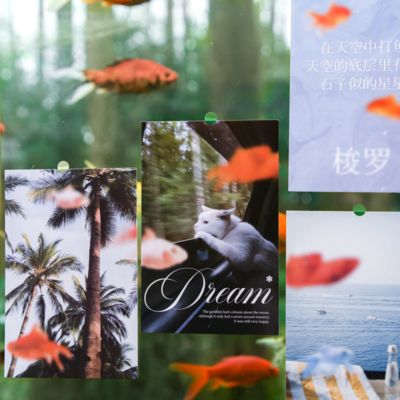 Mr. Paper Dream Box Postal Goldfish Dream Series Original ins Style Student Tarjeta de lectura de alto valor