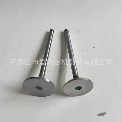 Valves and components 6BT intake valve