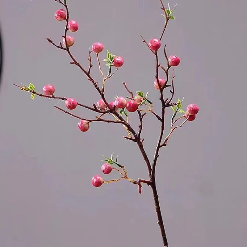 シミュレーションベリー帯霜柿枝家庭装飾植物装飾果実枝泡果実シミュレーション柿|undefined
