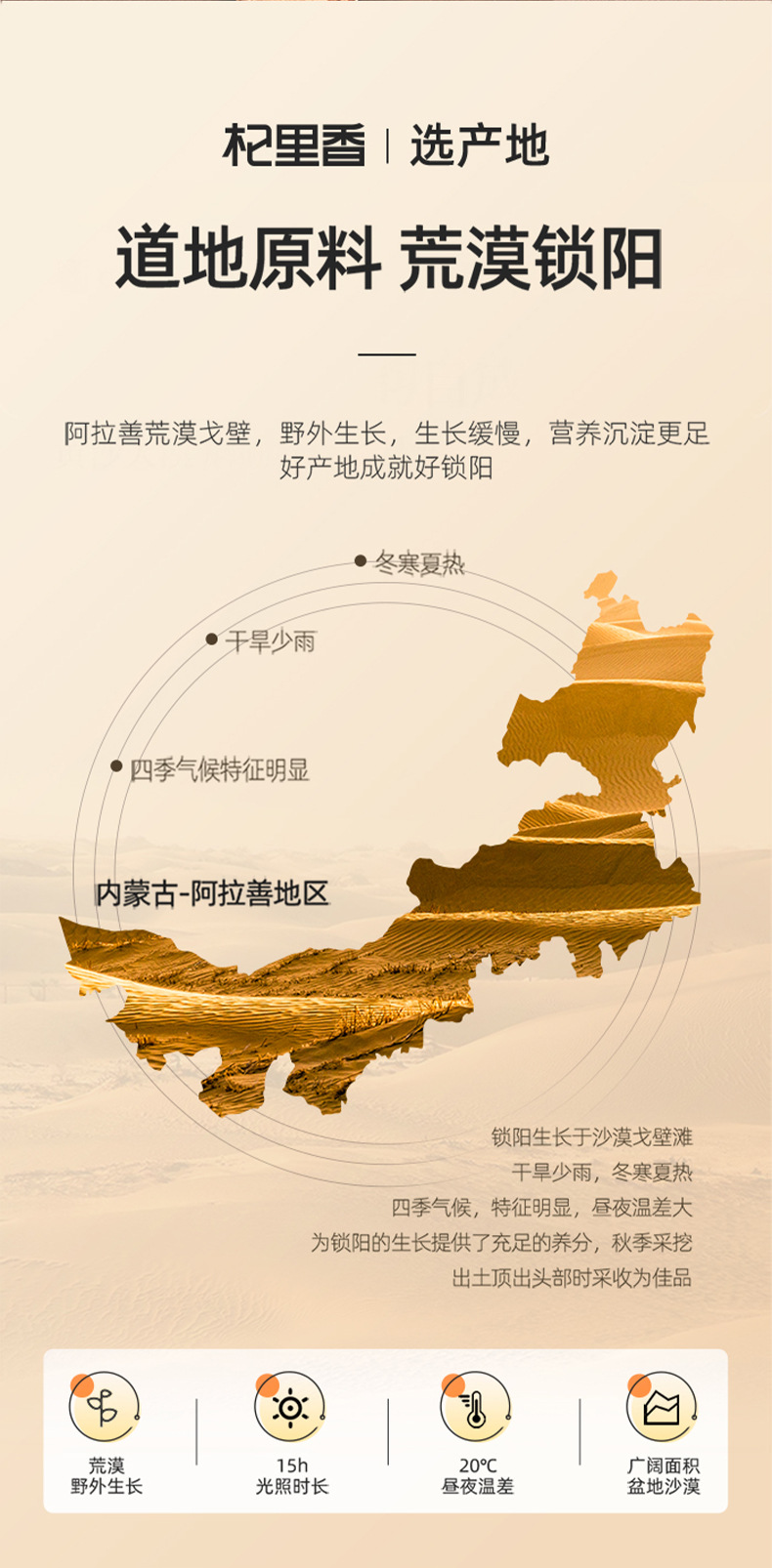 Dried Cynomorium Songaricum Slices Suo Yang 250g Alxa Origin Sun Dried Herbal Decoction Pieces key features