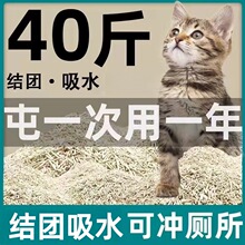 ����؈ɰ10����20��������؈ɰ����ɰ��ɳ؈��؈����Ʒ���]