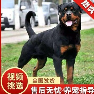 ���N�_���{���w��Ȯ��Ȯ�o�lȮ���̹���Ȯ܊ȮȮ�C