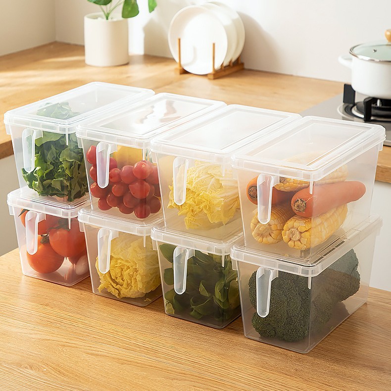 冰箱收纳盒食品级带手柄保鲜盒厨房蔬菜水果整理冷冻鸡蛋储物盒|undefined