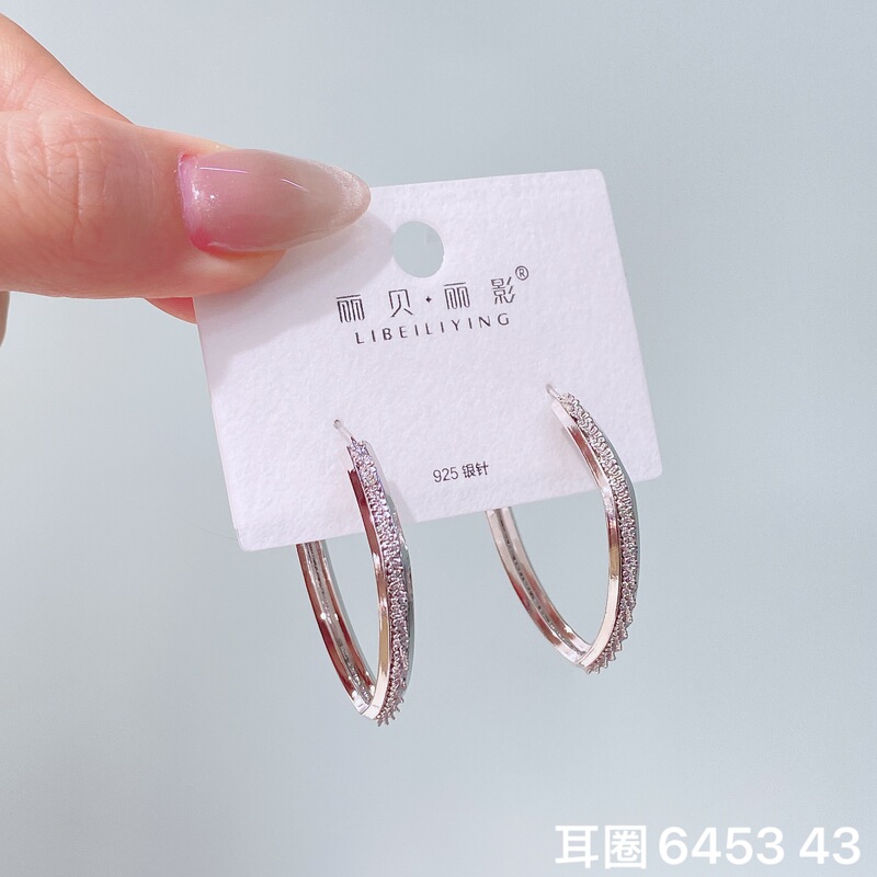 丽贝丽影丽银欧美时尚高级感素圈耳环2025新款爆款个性小众女耳圈|undefined