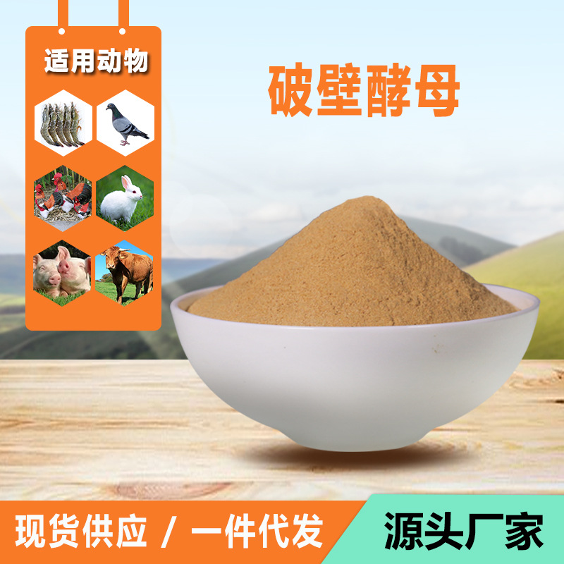 饲料原料破壁酵母粉 啤酒酵母厂家 饲料添加剂破壁酵母 现货供应