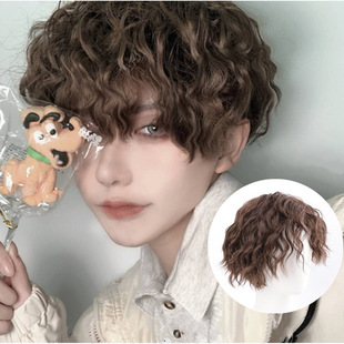 Japanese and Korean Style Men's Wig, Stylish Men's Hair, Foil Perm, Short Curly Hair, Black and Brown Synthetic Fiber Hair, Full Headpiece, Rose Mesh