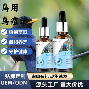 �B�������W�^�B����ĵ����Ƥ���Pș�������ș�B�����������`�嶻