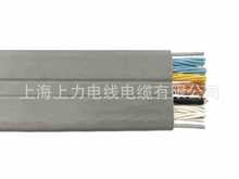 TVVBPG 12*0.75+1*1.5+2*2*0.5P SPCFLAT-ELEVATOR-YCYG