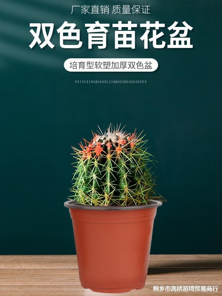 Two-color disposable simple plastic big flowerpot