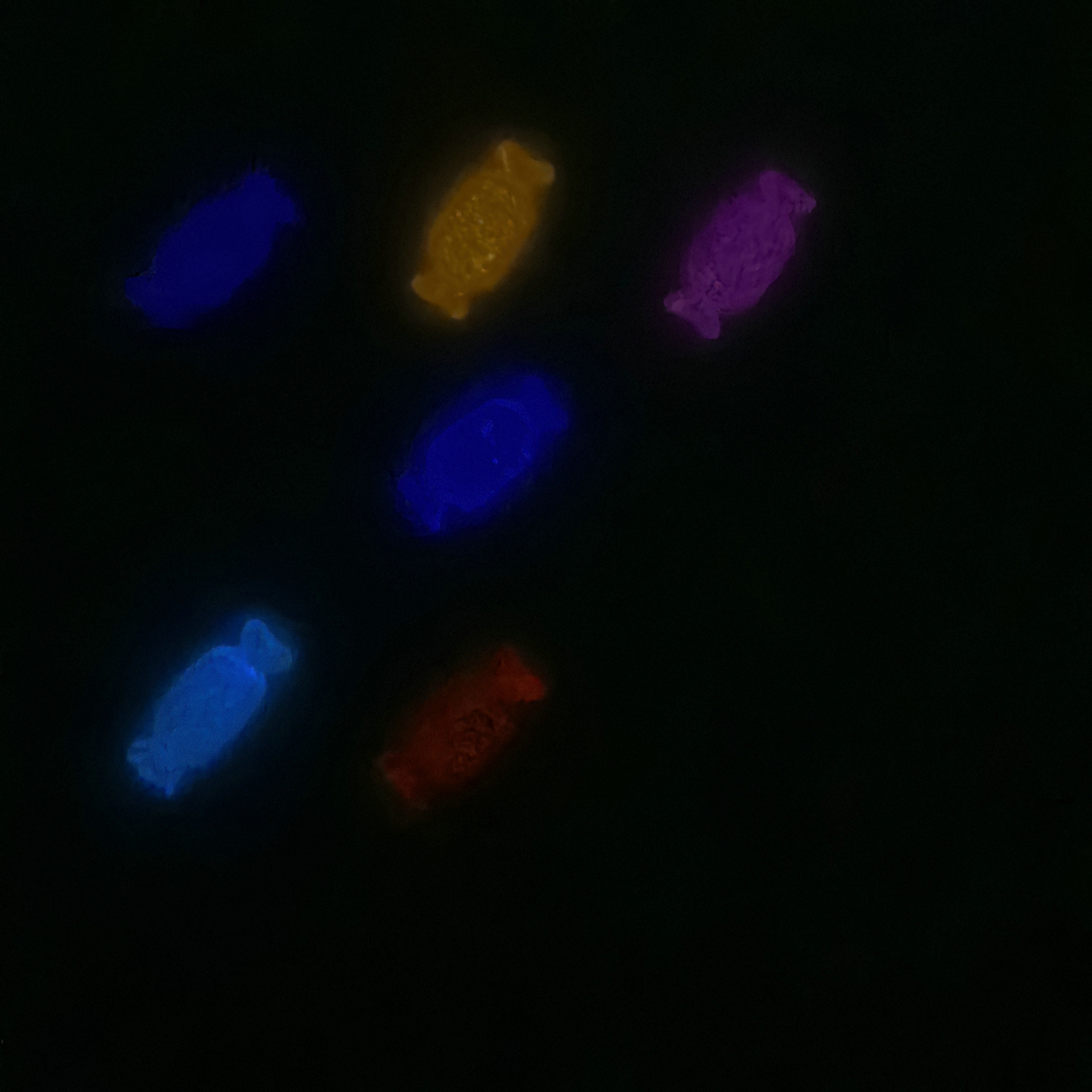 穿戴甲配饰网红冰透细闪立体糖果美甲饰品树脂食玩饰品diy饰品