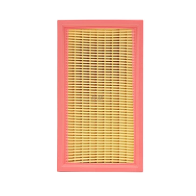 Rover Sport, Automobile filter element