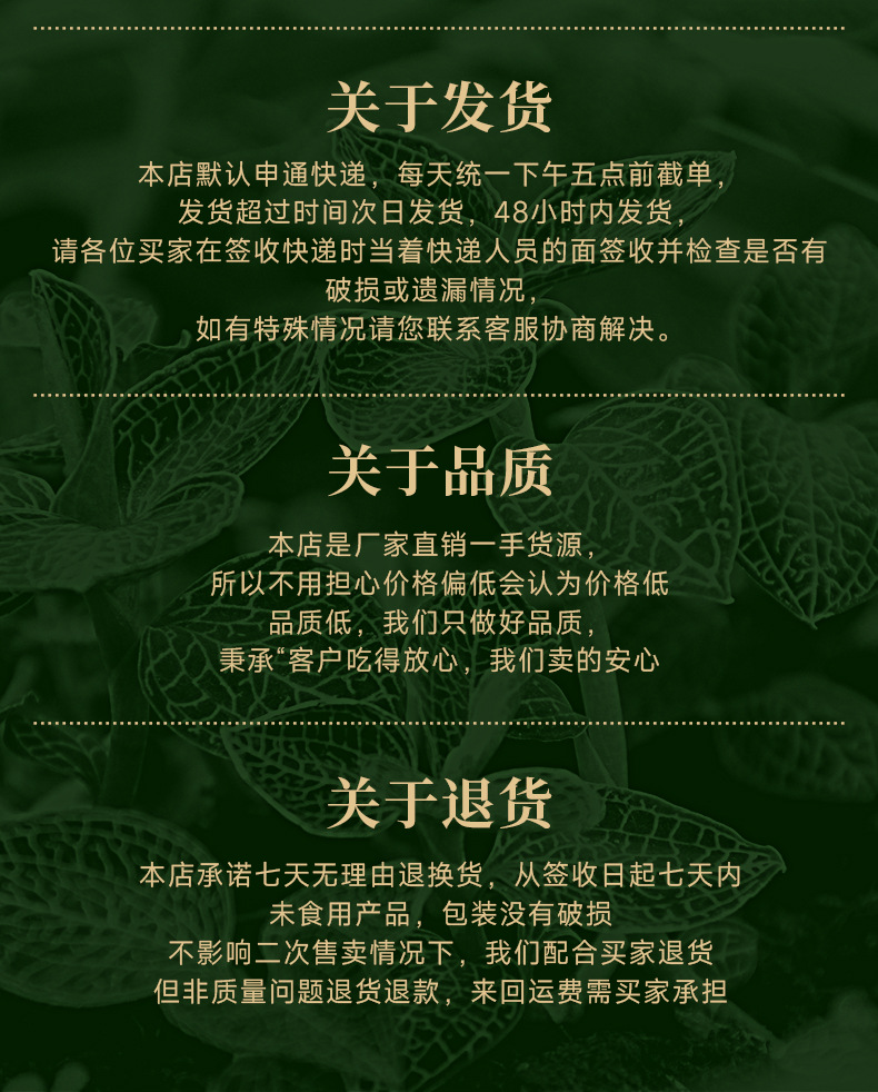 Dried Whole Jin Xian Lian Herb Fujian Origin 10g Jar for Cooking and Soup in use
