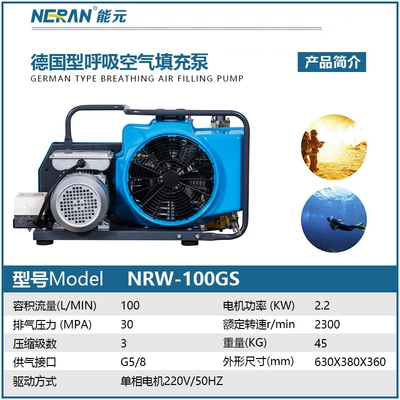 Breathing Air Filling Pump, High-Pressure Stable Air Supply, Professional Diving Rescue Inflator Pump, High-Pressure Piston Compressor (Hava kompressorları) - nrw-100gs-deposit