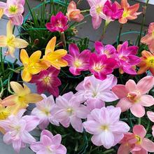 �ļ��L���m�ذ�N���M�ڻ��������_��ֲ����B�׻���m�����ͻ���