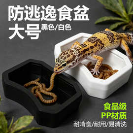 诺摩塑料新品NW-25小型爬宠守宫玩具蛇角蛙食水盆爬箱造景喂食盆