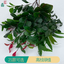 16叉白网叶 茶花叶马醉木 外贸批发假花 玉兰叶绿植工程装饰绢花