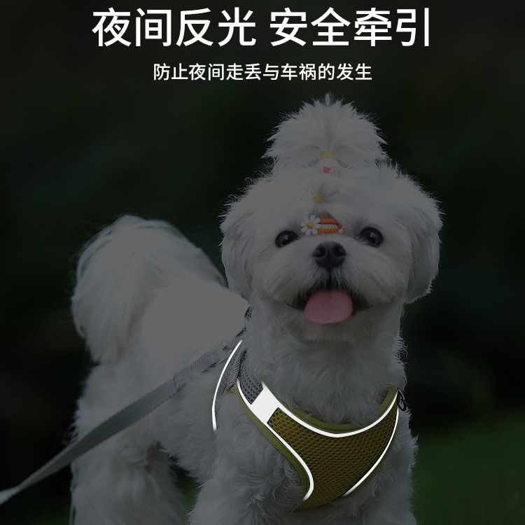 Correa de perro caminar cuerda perro pequeño Teddy Corgi oso cachorro gato mascota chaleco correa para el pecho