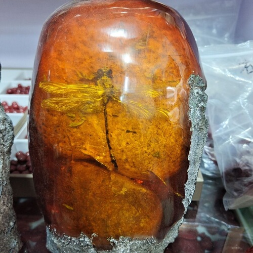 Amber antique craftwork, artificial amber with insects like caterpillars, scorpions, cicadas, crabs, geckos, insect specimens, tree stump decorative piece